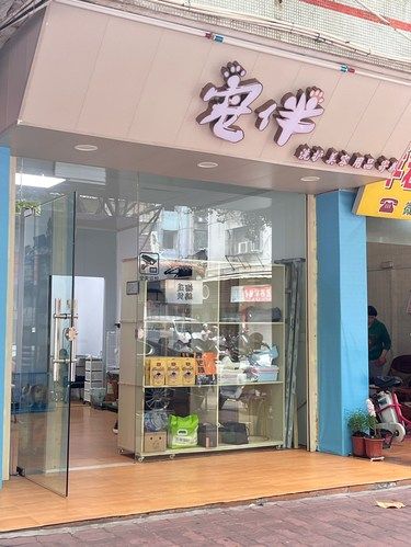 入夏洗个热水澡猫猫不再是臭宝