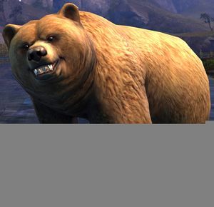 Bear (NPC).jpg
