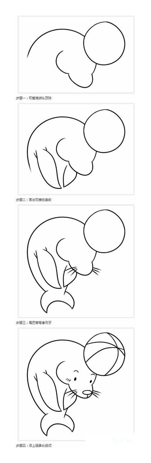 怎么绘画海狮顶球的画法带步骤图海狮简笔画教程