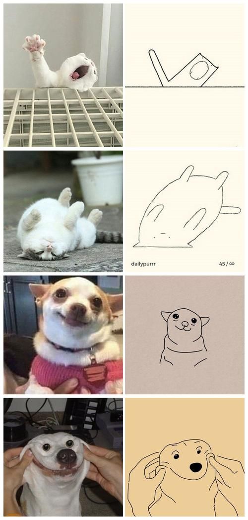 天惹这也太有趣了吧给宠物们的灵魂简笔画感觉自己也学会画了