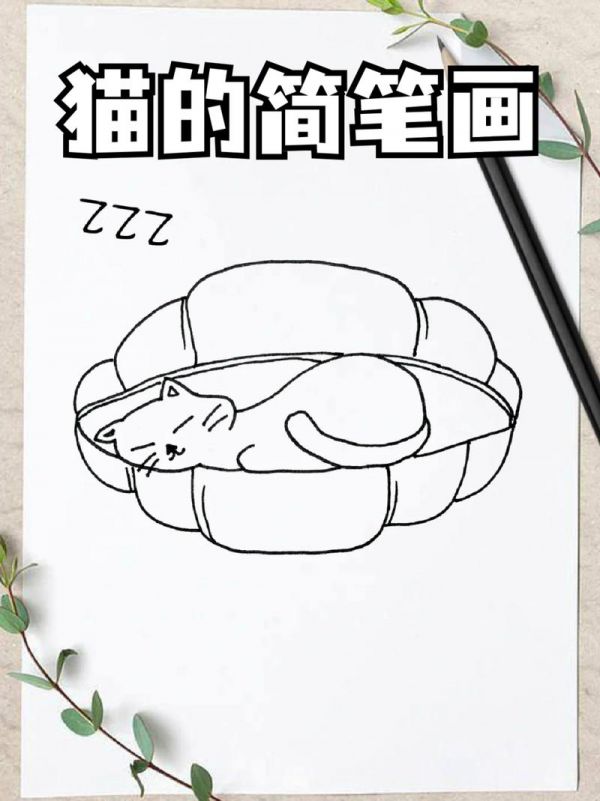 猫的简笔画宝子们都养过猫吗我自己养了四只这种可爱的生物