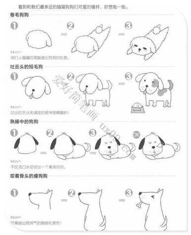 可爱的小狗和小猫简笔画画法教程