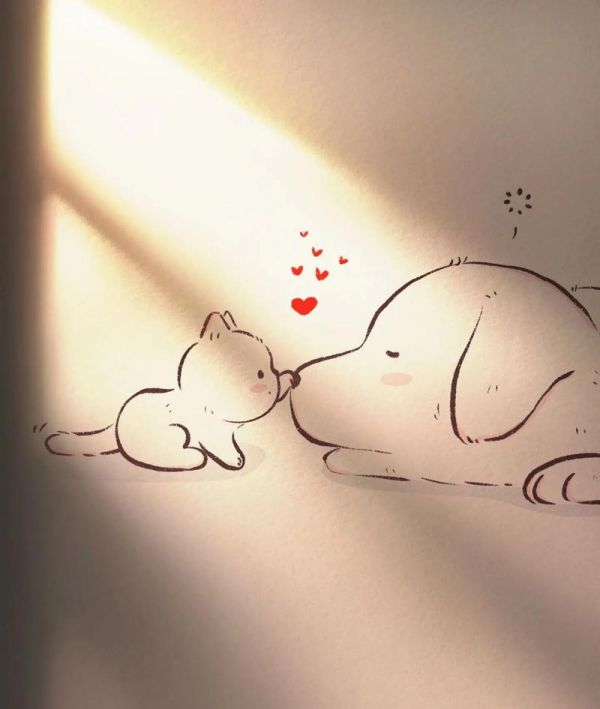 一只小猫咪和一只大狗猫和狗可爱简笔画教你画绘抖音