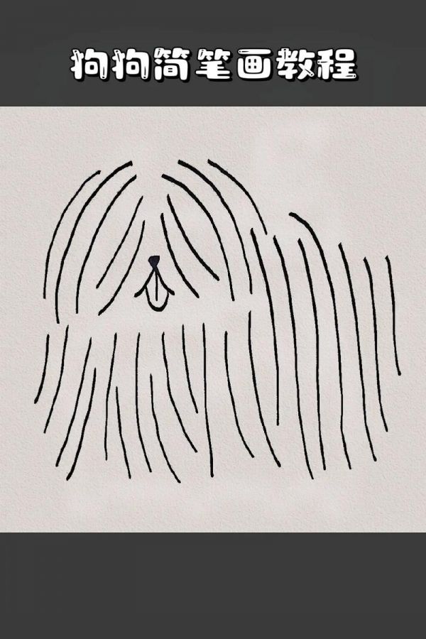 狗狗简笔画教程