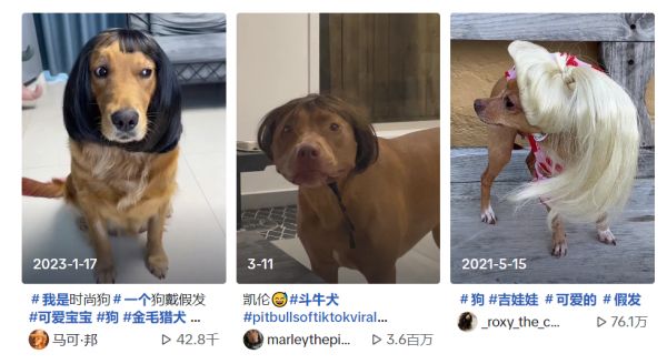 百万曝光量！这款冷门产品在TikTok疯狂刷屏