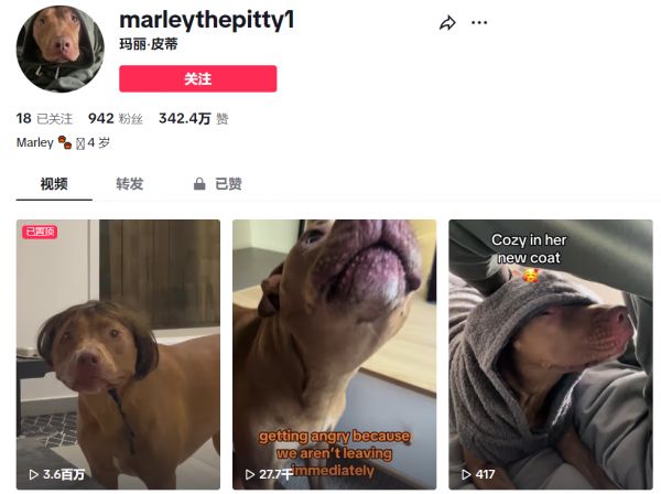 百万曝光量！这款冷门产品在TikTok疯狂刷屏