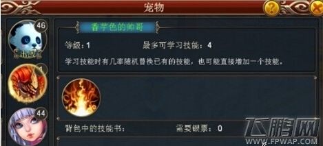 大话来了怎样强化宠物？强化宠物详解 (3)