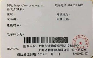 猫咪要办哪些证？宠物证、健康证、免疫证，你准备好了吗？
