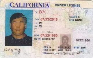 猫咪要办哪些证？宠物证、健康证、免疫证，你准备好了吗？