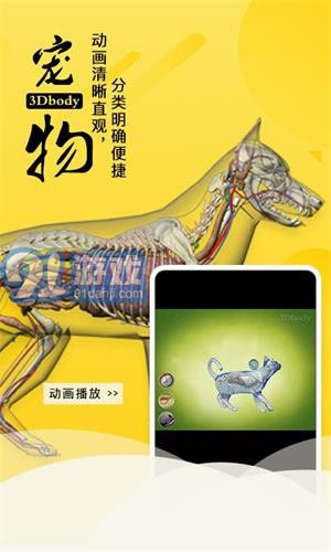 3dbody宠物