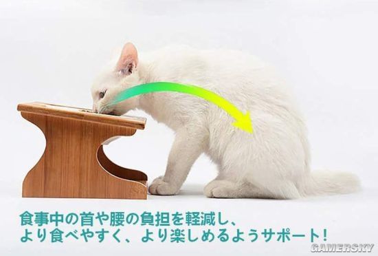 特地买了符合猫体工程学的餐桌！ 猫：我有自己的想法