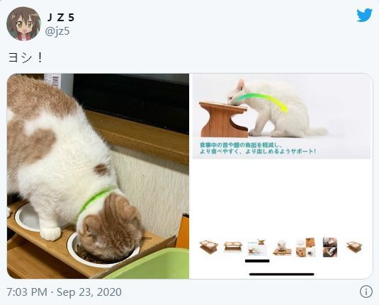 特地买了符合猫体工程学的餐桌！ 猫：我有自己的想法