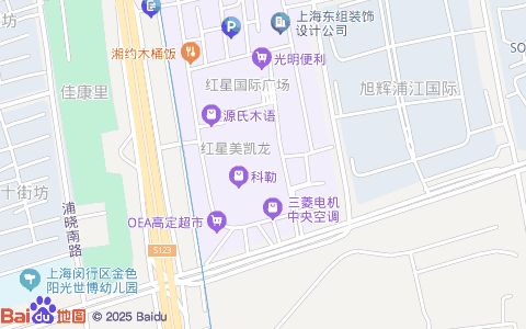 躲猫猫主题宠物会所(总店)附近公交站点