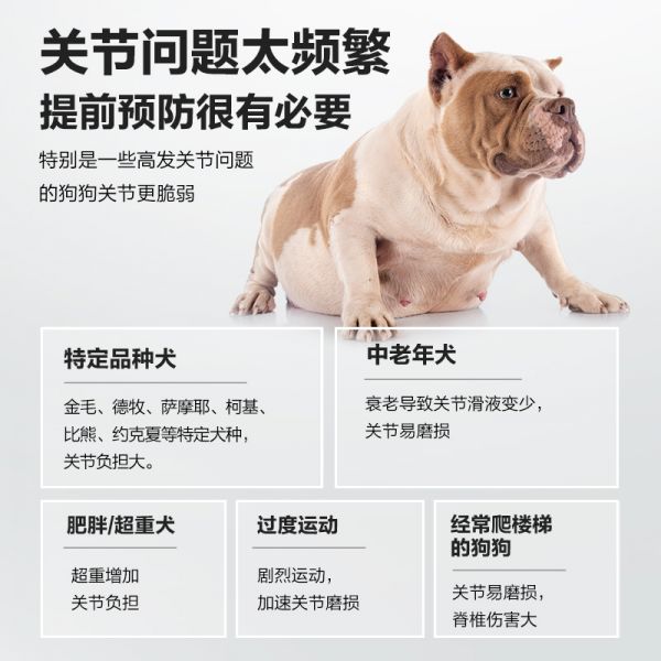 【rjm8.com狗狗用品08】新手养狗注意事项和禁忌:卫仕鲨鱼软骨素狗狗专用宠物关节舒补钙泰迪金毛犬用狗关节软骨素3822