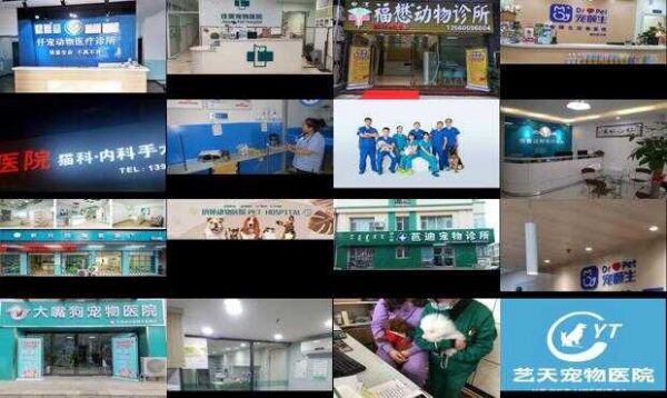 邢台宠物医院24小时营业