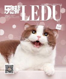 乐嘟宠物圈DM刊109期
