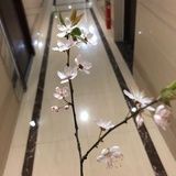 阿文斯基