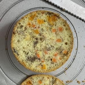 宠物蛋糕食谱的做法 步骤5