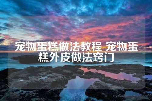 宠物蛋糕做法教程 宠物蛋糕外皮做法窍门 第1张