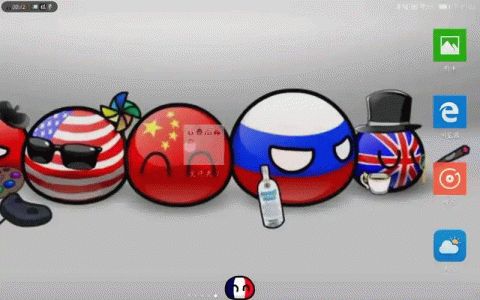 波兰球桌面宠物