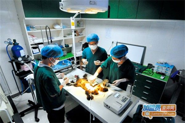 贝贝宠物医院加盟