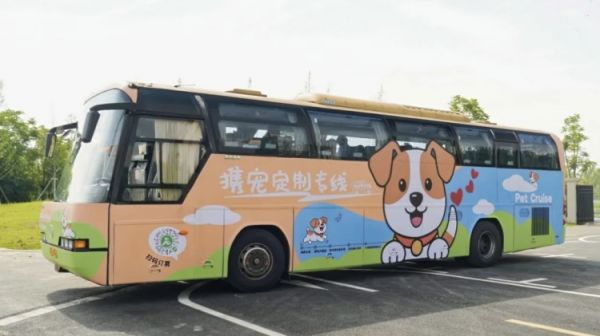 几近售罄，上海首条！宠物专线一人一宠票价20元