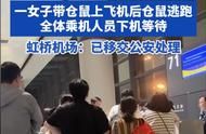 独家报道：女子带宠物上飞机事件后续报道