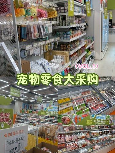 时光里有一家4.6分的宠物店！