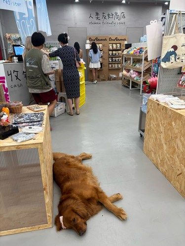 晚休时间逛一逛，就没时间睡觉了哈哈