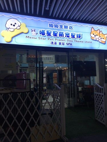 店里猫咪超治愈