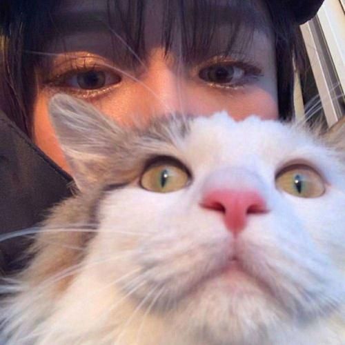 抱着猫的女生头像