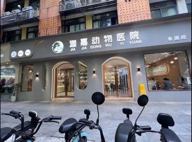这家宠物医院，收费合理医术好，毛娃遭罪少[点赞]
