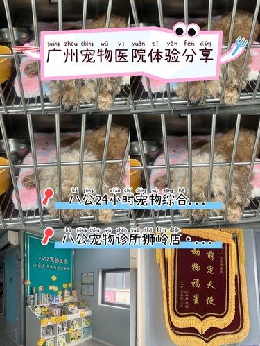 感谢医生的每一天