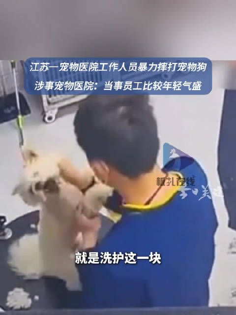 宠物医院回应员工暴力摔打宠物狗