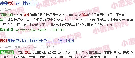 赶集宠物狗网鹿娃