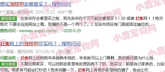 赶集宠物狗网在哪