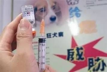 狂犬疫苗期间，可同时接种其他宠物疫苗。