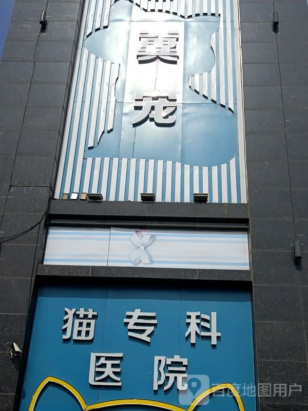 冀宠猫专科医院