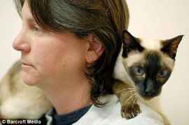 在非洲怎么养宠物猫
