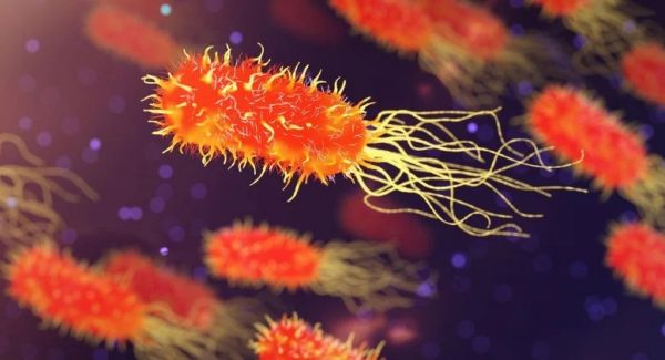 Superbug-Illustration-777x421.webp.jpg