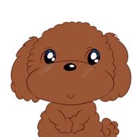 贵宾犬卡通头像_微信头像图片大全