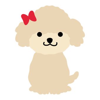核桃材料元旦