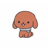 贵宾犬卡通头像_微信头像图片大全