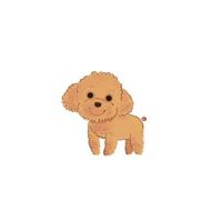 贵宾犬卡通头像_微信头像图片大全