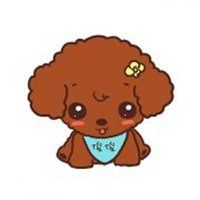 泰迪狗头像图片大全点击鼠标右键下载
