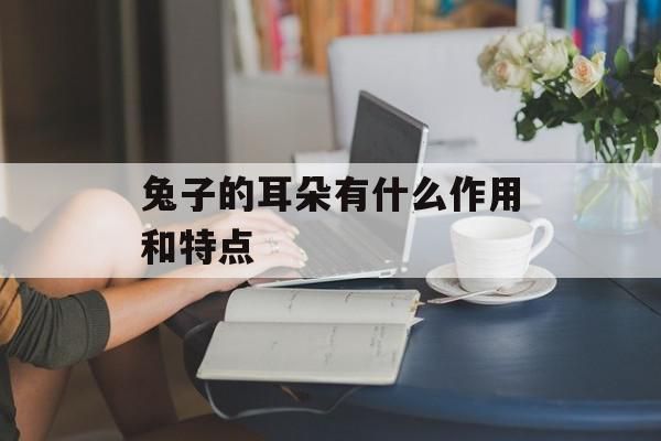 兔子的耳朵有什么作用和特点