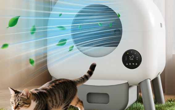 HMPET宠物猫厕所：打造猫咪专属的私密如厕空间