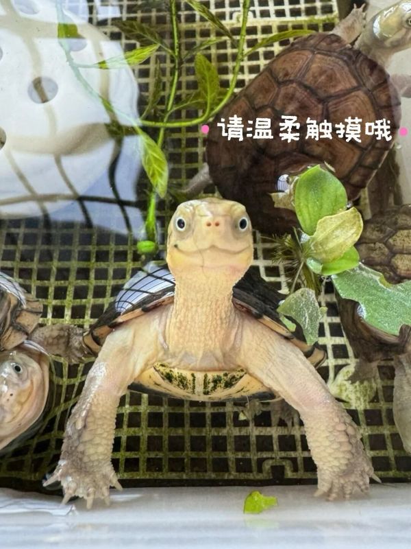 微信图片_20251010103658_55_11.jpg