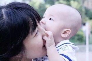 宠物咬人,如何正确引导?