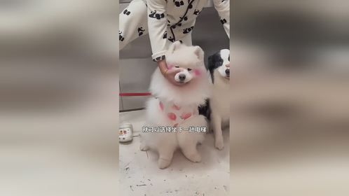 在这种小区真的不要太幸福了吧